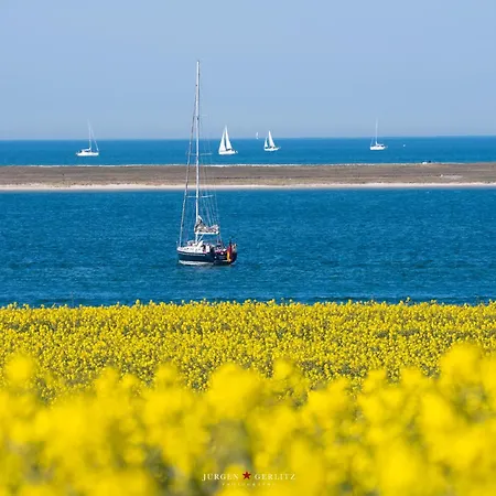 Ferienhaus Skippers